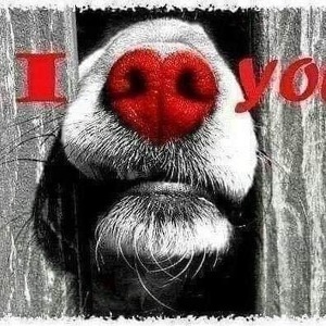 Fundraising Page: Beth Hitchcock